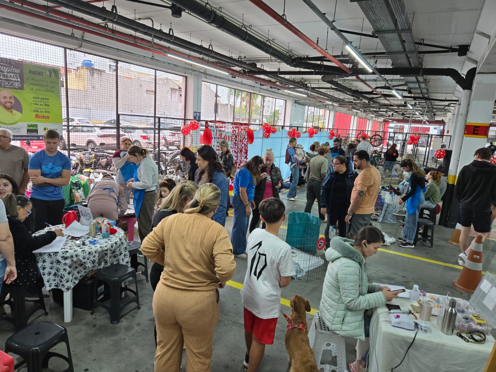 Voluntários